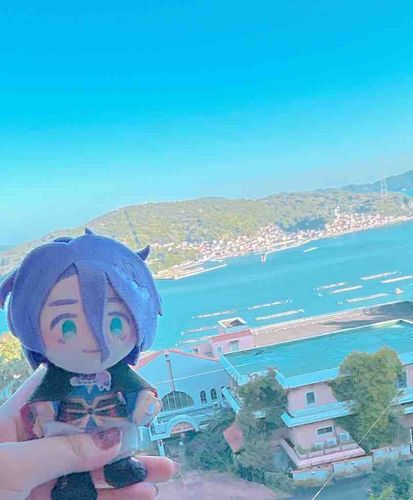 けしきの よい ばしょで すごしてきたよ