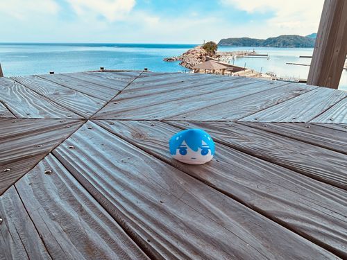 久しぶりの岩鳶だ