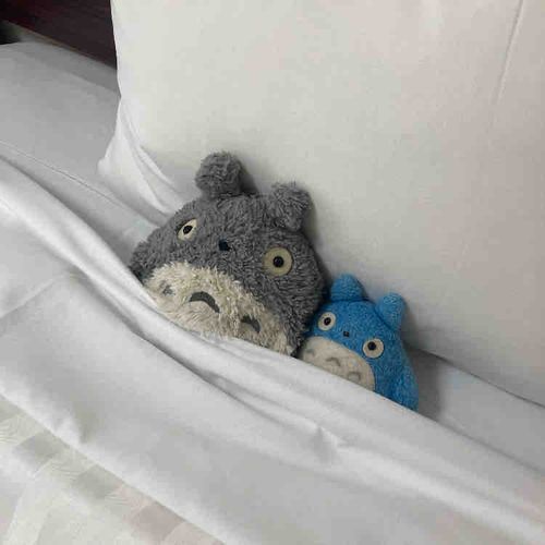 えへへ
ふたりでおでかけなんだぁ