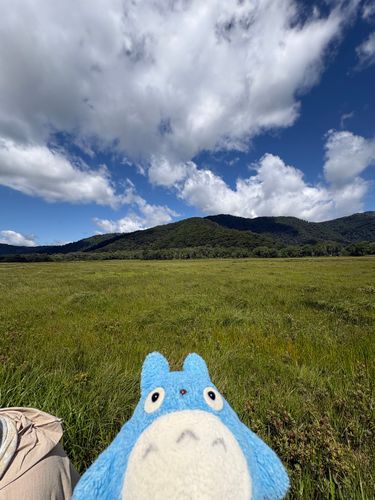 おぜきたぜぇぇぇぇぇぇ