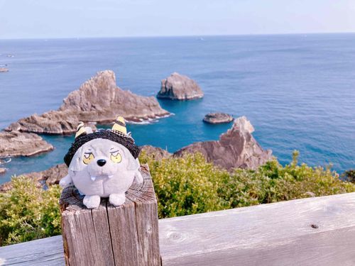 海金剛