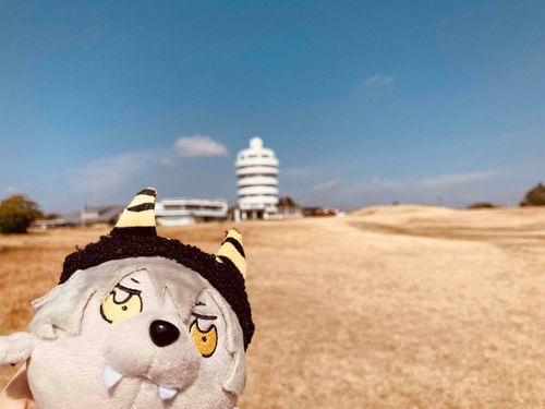 海の近くは丸っこい建物が多くて可愛いってことに気づいた旅行だった