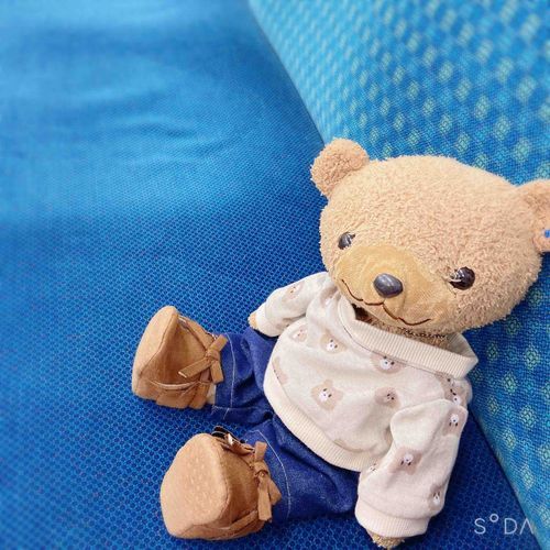 ʕ•ᴥ•ʔ「えへへ、きょうはどこいくの？✨」
