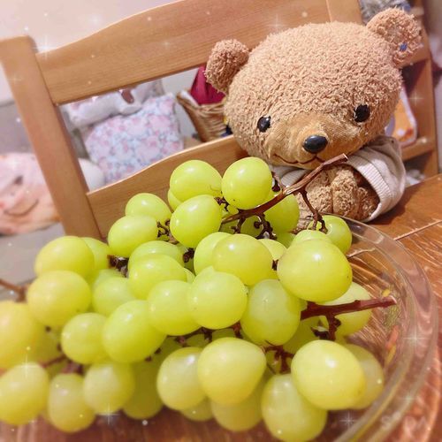 ʕ•ᴥ•ʔ「おっきい〜〜〜！！
ぷるぷるつやつや！✨ あまい！✨
おいしすぎるよ〜〜〜！！！✨」