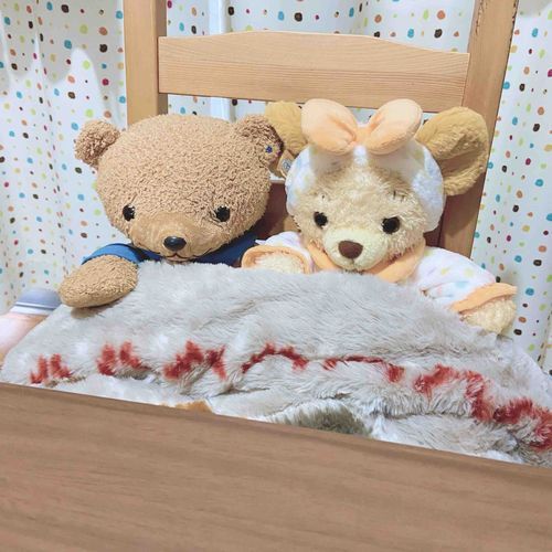 ʕ•ᴥ•ʔ「こたつでぬくぬく、さいこう♡」