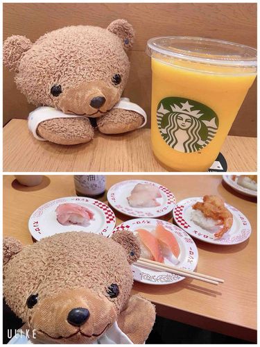 ʕ•ᴥ•ʔ「さいきん、かなちゃんがおしごととかでいそがしくて、ずーっとかまってくれなかったんだけど、きょうはひさしぶりのおやすみだったから、たくさんおねだりしたの！
そしたらスタバとおすしにつれていってくれたよ！
ねばりがち、だね✌️✨✨」