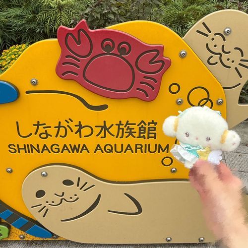 ペンギンさんとアザラシさんがかわいかったね🦭
