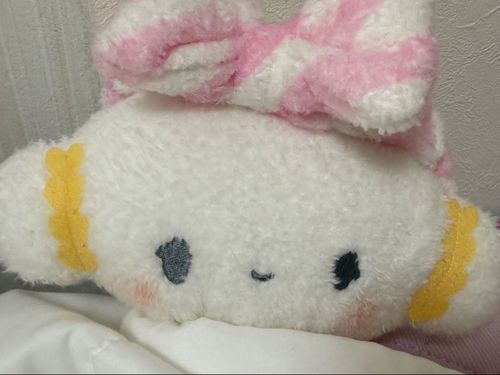 おはようみゅん…♡