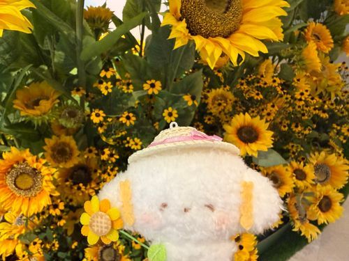 ひまわりみゅん🌻