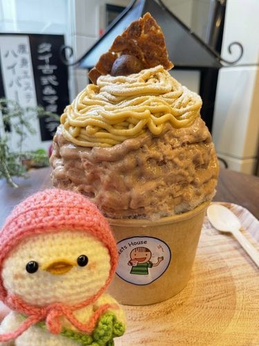 新しいバッグ🍀背負ってかき氷食べに行ったよ〜秋ルンルン♩🌰