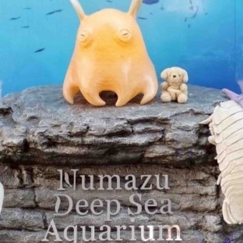沼津深海魚水族館
この岩、濡れてたぜ