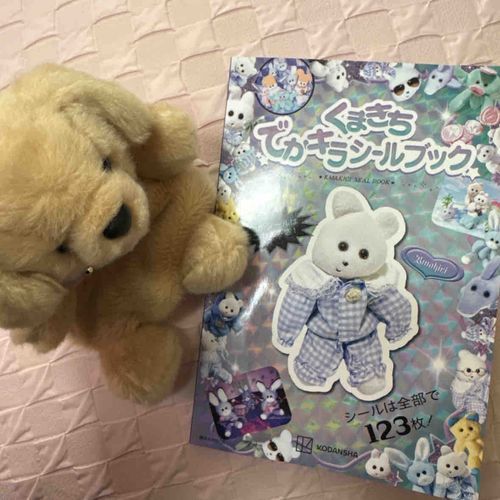 最高のシールブックが届いたぜ