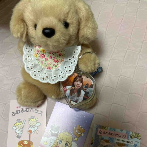 みんなも中野ブロードウェイ4F
ふわふわハウスでお買い物しようぜ！
ユキちゃん最高！