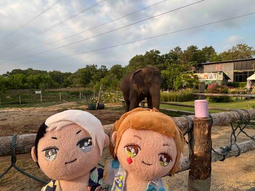 🇹🇭の🐘