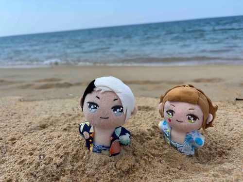 海