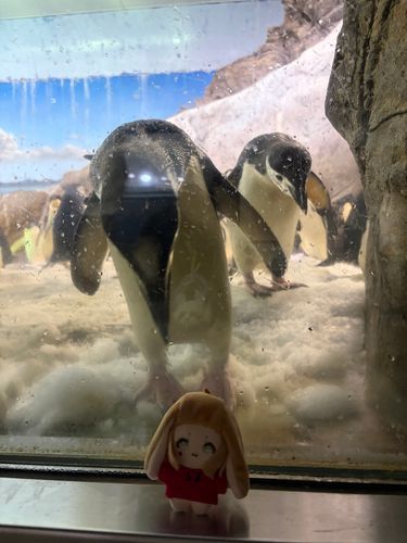 大ピンチ
