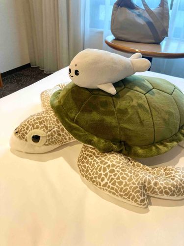 そろそろかえるよー🐢🦭💨