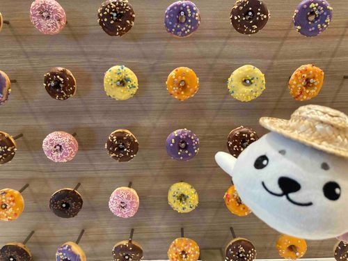 じゃじゃあーん🍩✨