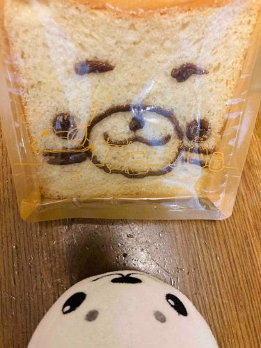 「ほら！ざらおが　ねてるかおの　らすくだよ♪」って‥🙄（うちの　にんげん‥やば）