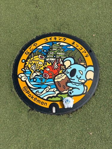 名古屋に飛来したｶﾋﾞよ⁉️