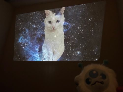 まつもとたける展に行ってきたｶﾋﾞ