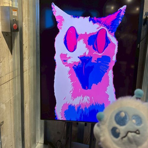 ウワーーーーッ⁉️