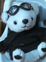 REN