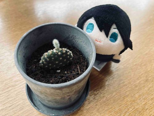 アカウントの名前変更をしておばけという名前に変えました！これからも変わらず投稿を見てもらえると嬉しいです☺️