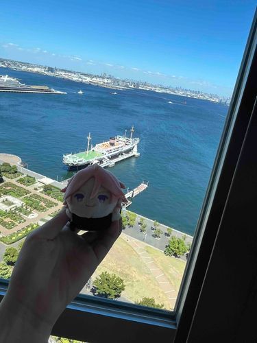 マリンタワーからの景色や
海が広がってて壮大やったな