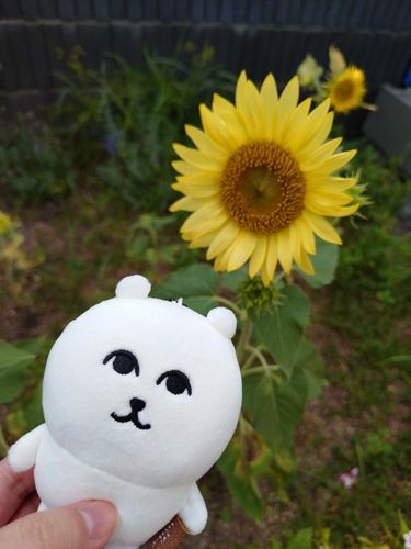 ﾋﾏﾜﾘ