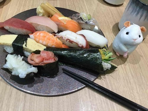 おともだちがテイクアウトのおすしをくれたでちゅ！
どれから食べたらいいでちゅかね！！
まよいまちゅ……