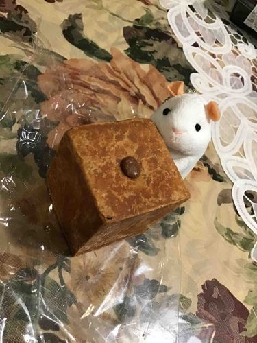 コーヒーあんぱんだって！
わたちのおかあしゃんがくれたの！！
おいちそうだな、いただっきまっしゅ！