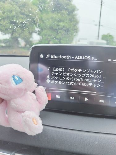 みゅ🐸