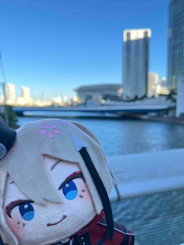 主の付き添いで刀ミュを見に行ったよ。僕は観劇できないから分からないけれど、主が楽しそうにしていたので、とてもいい時間だったのだと思う。
来年も楽しい時間が過ごせると良いね。
