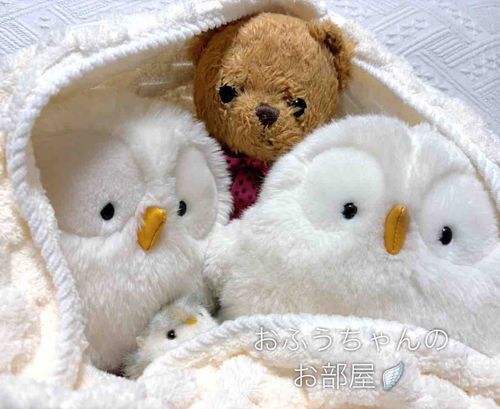 
あついひも ふわふわ もふもふ🫧

みんな なかよし。
みんな みんな だいすきなんだよ✨

いつも なかよくしてくれて、
ほんとうに ありがとう🪽


