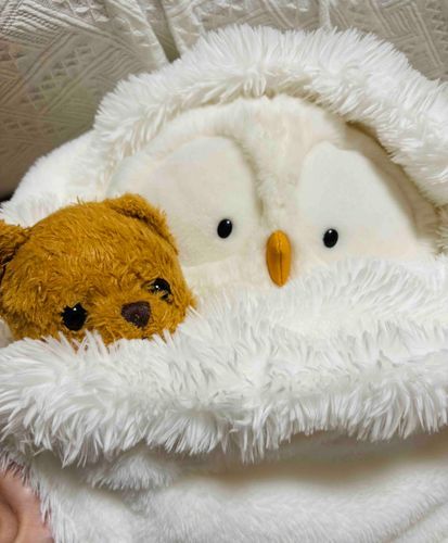 
おひさしぶりのおしゃしんになっちゃった💦

おうちのひと、
ずっとおしごとバタバタすぎたからなのか、
げんきがなくなっちゃっていたの。

でもね、さいきんは ちょっとずつ、
げんきになっているみたい！🪽✨

ふわもこのみんなのおしゃしん、
なかなかコメントできていなくてごめんね。

みんなのおしゃしん、
とってもとってもかわいくて、
ほんとうに いやされるって
おうちのひと、いつもおおよろこびだよ。

さむくなってきたけど、
みんながポカポカ あったかくて
げんきいっぱいな ふゆをすごせますように🍀✨
