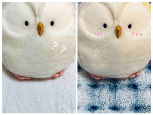 
またまたひさしぶりの
おしゃしんになっちゃった💦

おうちのひとが
ふわふわブランケットをかってきたよ！

まっしろ…？と おもって
うらがえしてみると、
とってもキレイな
ブルーな おいろなんだよ〜！
"ほしぞらブルー”って いうんだって！

うんうん、このステキなふわふわは、
ふうちゃんたちのふわふわコレクションに…🌠🪽

