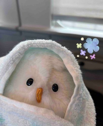 
おうちのひと、
とってもおつかれさまだよ〜🪽

とってもと〜っても がんばったね！！

ちょっぴり きゅうけいしようね🌸

どこに いくのかな…？
これからのドキドキは
ふあんのドキドキじゃないから、
もうだいじょうぶなんだよ〜🦉🪽
