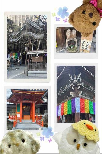 
このまえの おしゃしんのつづきだよ🪽

たくさんおさんぽして、
おてらにも いったよ！

コナンくんの えいがにも でてきた
おてらなんだって！！✨

フクロウさんたちが
おでむかえしてくれて、
うれしかったなあ…🦉🪽


またもうすこし、
おしゃしん のせさせてね✨
