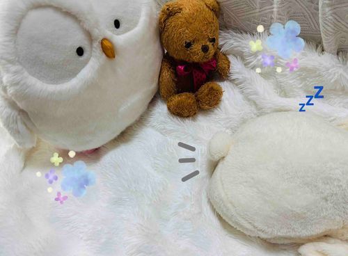 
あらら…？

おうちのひとと 
いっしょに だれか かえってきたよ…？

だれだろう…？🐇🪽✨

