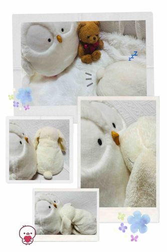 
とっても ぽわぽわなうさぎさんが
おうちにきてくれたんだよ🐇🪽

まだおつかれと 
きんちょうしてるみたい…。
いっぱいねんね💤しているの。

かわいいおかお、
もっともっと みせてほしいな✨

おうちのひと いわく、
「あったか電気湯たんぽが
   身体に入っちゃう凄い子！🐇🔆」
なんだって。

あったか ぽわぽわだから、
「ぽわちゃん」だね。

これからよろしくね🪽✨
