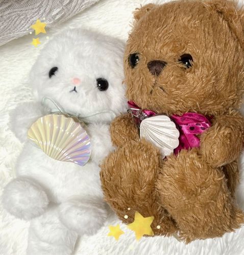 
こんにちは。
くまお です🧸

かわいい かわいい かぞくが ふえました。
ふわふわ ラッコちゃんです🦦🪽

おうちのひとが、
「くまおとお顔が似ているね」って、
ぼくにも もたせて くれました🐚✨
にているかな？🧸🦦


