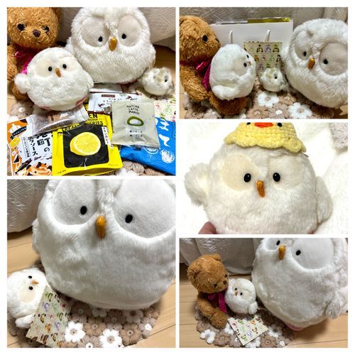 
【🧸せんしゅうの 
　　 ステキな おしゃしん その②🪽】

たのしい じかんは あっというま…。
かえりみちでは
とっても さみしいきもちも…。

でもね！！けあちゃんたちから
とっても とっても ステキな
プレゼントまで いただいたよ🎁

ふうちゃんたちね、
『ゆべし』✨
とっても たべてみたかったの！！
うれしすぎるよ〜✨

それから おてがみ✉！！
うれしすぎて、ふうちゃん、
おうちで いっぱい じまんしちゃった。

けあちゃんたち、
ほんとうに ほんとうに ありがとう…！
また いっぱい おはなししようね！！

そして、ふうちゃんたち…
…ここで なかよくしてくれている、
ふわもこの みんなとも
いつか いっぱい おはなししてみたいなあ…🪽✨

