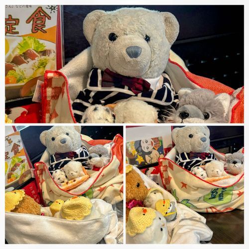 
なんと なんと…🪽
けあちゃんたちと いっしょに 
ごはんを たべて おはなし してきたの…✨

おしゃしんよりも けあちゃんは
とっても と〜っても カッコよかったよ…！
ふうちゃん、うれしすぎて 
なんかいも コロコロ…ころがっちゃって、
おうちのひとに おこしてもらっていたよ。

また おしゃしん とうこうさせてね🪽✨

