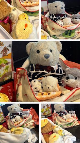 
【🧸せんしゅうの 
　　  ステキな おしゃしん その①🪽】

けあちゃん、ちあちゃん、
ちびちゃん、おおくんと、
いっしょに ごはんを たべたよ！

けあちゃんたちの りょこうの おじかん、
ほんのすこしだけ わけて もらったの！✨

おしゃしんも いっぱい 
いっしょに とったよ！📷

ほんとうに ほんとうに あえて、
さいしょは うれしすぎて 
ドキドキドキドキだったけど、
たのしい おはなしが とまらない、
ほんとうに ステキすぎる 
おじかんだったなあ…🪽
