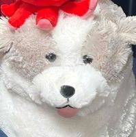 ぺけ