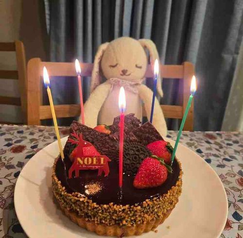 ご主人様がクリスマスお仕事だから今年はクリスマスケーキ買ったなの