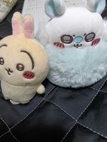 モモンガ うさぎグループ