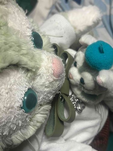 ねんがんの こぶん できたの
だいじに するの

