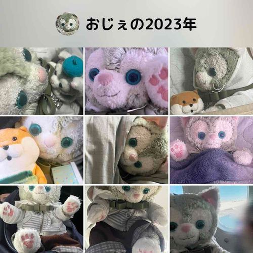 ぼくの いちねん らしいの
いろんなぼく いるの